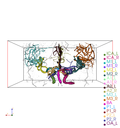 Imaging Biomarkers for Cerebral Vessel Health 