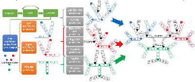 Paper: Automated Intracranial Artery Labeling using a Graph Neural Network and Hierarchical Refinement