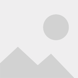 Paper: Deep Open Snake Tracker for Vessel Tracing